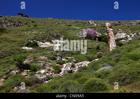 Albero pietrificato tra, Lesvos Petrified Forest Park, Grecia, Lesbo Foto Stock