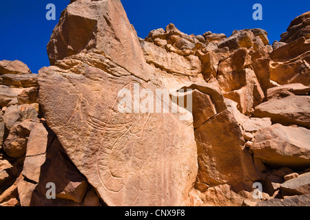 Incisione di roccia di un elefante nel deserto di pietra di Wadi Mathendous, Libia, Sahara Foto Stock