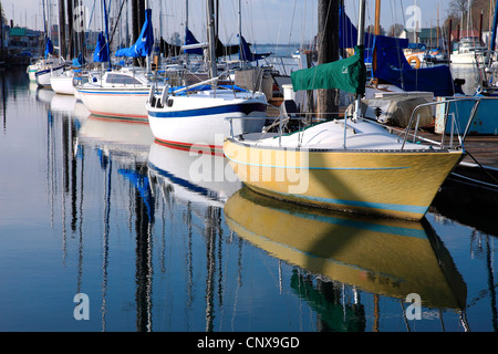 Barche a vela ormeggiata in un porto turistico Portland Oregon. Foto Stock