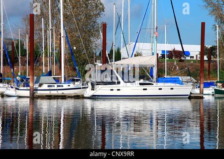 Barche a vela ormeggiata in un porto turistico Portland Oregon. Foto Stock