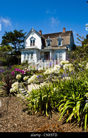 Giglio africano (Agapanthus-Hybride), la storica casa in legno e colorata fioritura giardino rurale, Stati Uniti, California, Storico Mendocino Village Inn, Mendocino Foto Stock