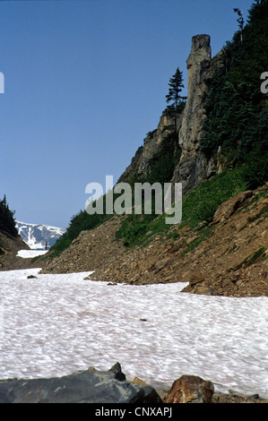 Orfani del campo di neve a sinistra dietro dal poderoso ghiacciaio di salmone Foto Stock