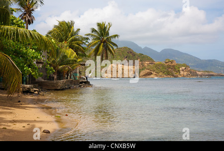 Bella spiaggia presso il villaggio di Calibishie sulla costa nord est di Dominica West Indies Foto Stock