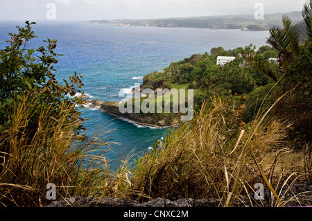 Costa nord est di Dominica sulla sezione 12 di Waitukubuli National Trail vicino Penville guardando a sud verso Diablotin Foto Stock