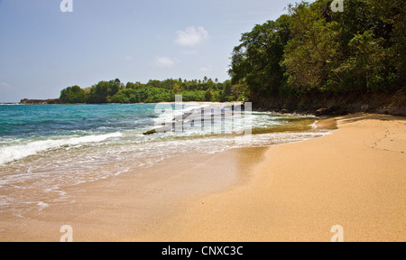 Spiaggia di sabbia e il mare blu e Woodford Hill Bay sulla costa est della Dominica West Indies Foto Stock