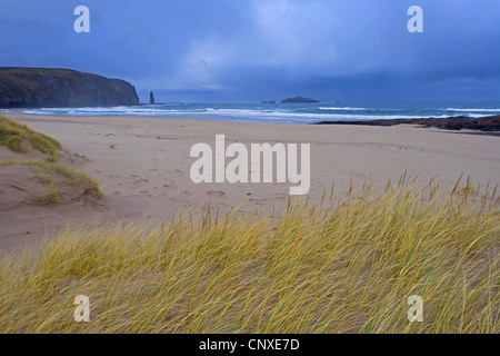 Seascape e duna costiera sistema guardando verso Am Buachaille, Sandwood Bay, Regno Unito, Scozia, Sutherland Foto Stock