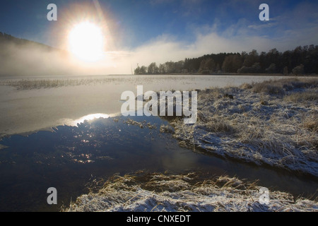 Loch Pityoulish in inverno, Regno Unito, Scozia, Cairngorms National Park, Loch Pityoulish Foto Stock