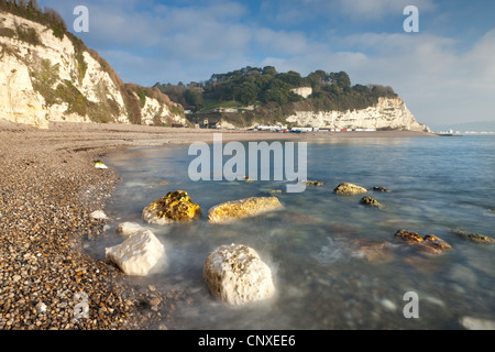 Bianche scogliere a birra, su Jurassic Coast, South Devon, in Inghilterra. Inverno (dicembre 2010). Foto Stock