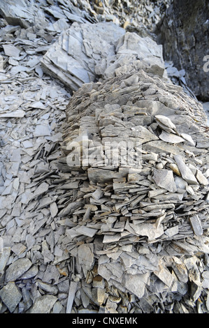 Formazione di roccia, Italia, Liguria Foto Stock