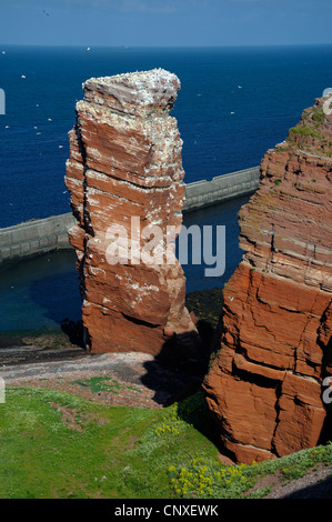 Lange Anna nel nord dell isola di Helgoland, Germania, Schleswig-Holstein, Isola di Helgoland Foto Stock