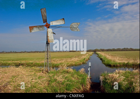 Vecchia ruota del vento sul lago Duemmer, Duemmer vedere, Germania, Bassa Sassonia Foto Stock