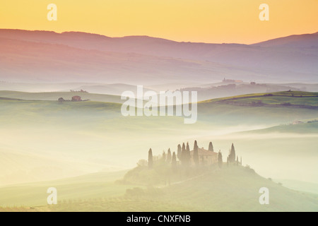 Cottage e cipressi nel paesaggio collinare, Italia, Toscana Foto Stock