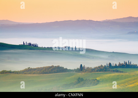 Paesaggio collinare al mattino, Italia, Toscana Foto Stock