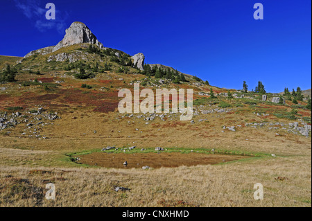 Panorama di montagna con stagno in pascoli ruvida davanti incombente mountain top, Montenegro, Biogradska Gora Parco Nazionale Foto Stock
