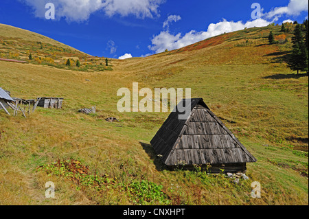 Tettoia in legno su un alpeggio, Montenegro, Biogradska Gora Parco Nazionale Foto Stock