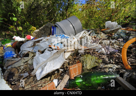 Grande frusta Snake (Dolichophis caspius, Coluber caspius), la pelle su un sistema illegale di smaltimento dei rifiuti nella foresta, Montenegro, Insel Ada Foto Stock