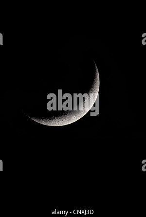 Falce di luna Foto Stock