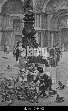 Alimentazione di piccioni in Piazza San Marco a Venezia, Italia, storica incisione, 1883 Foto Stock