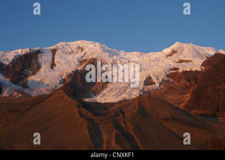 Illimani nella luce della sera, Bolivia, Ande Cordillera Real Foto Stock