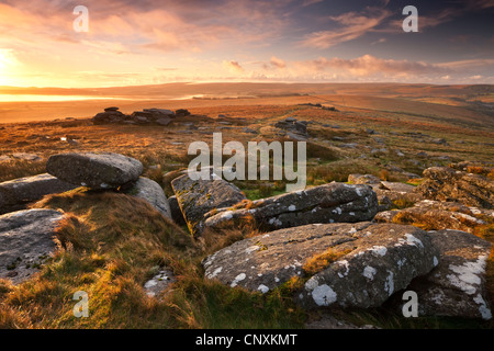 Alba a Littaford Tor, Dartmoor Devon, Inghilterra. In autunno (ottobre 2011). Foto Stock