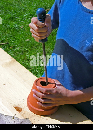 Ragazzo costruendo un aiuto di nesting vor bombi Foto Stock