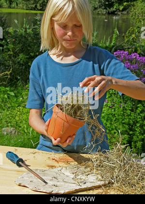 Ragazzo costruendo un aiuto di nesting vor bombi Foto Stock