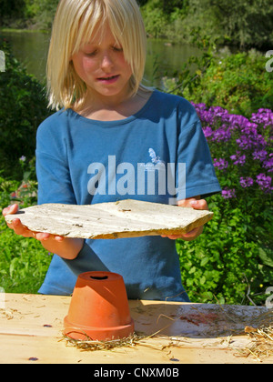 Ragazzo costruendo un aiuto di nesting vor bombi Foto Stock