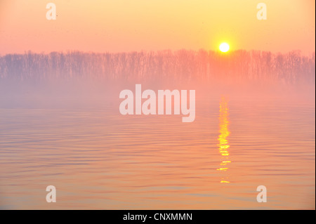 Alba sul fiume Danubio Foto Stock