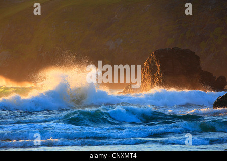 Rock in surge, Regno Unito, Scozia, Sutherland Foto Stock