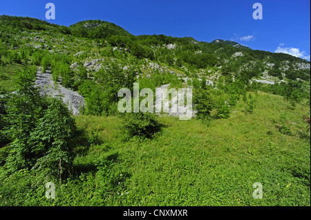 La ghiaia e massi su un pendio tra erba e arbusti, Slovenia, Stol Foto Stock