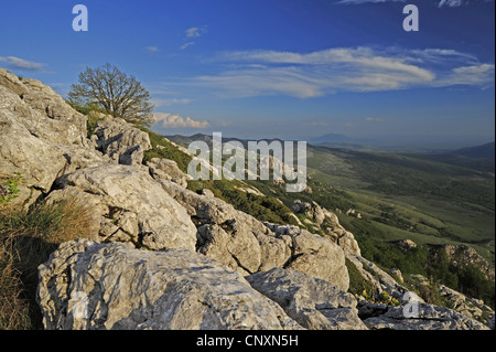 Paesaggio carsico in Natur Park Velebit, Croazia, Velebit Foto Stock