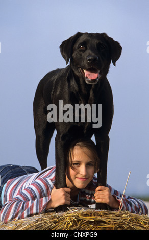 Il Labrador Retriever (Canis lupus f. familiaris), la ragazza che giace sotto un cane Foto Stock