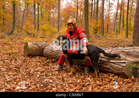 Razza cane (Canis lupus f. familiaris), femmina trainer con operazioni di ricerca e salvataggio cane nella foresta di autunno Foto Stock