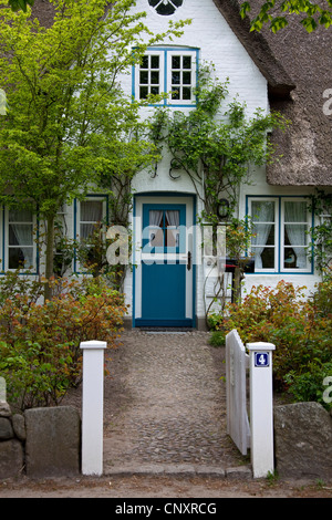 Frisone tradizionale casa di paglia a Nieblum sull isola di Föhr, Nordfriesland / Frisia settentrionale, Germania Foto Stock