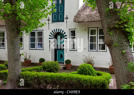 Frisone tradizionale casa di paglia a Nieblum sull isola di Föhr, Nordfriesland / Frisia settentrionale, Germania Foto Stock