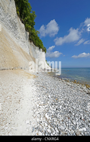 Chalk rocks in Jasmund National Park, Germania, Meclemburgo-Pomerania, Ruegen, Jasmund National Park Foto Stock