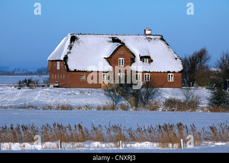 Frisone tradizionale casa di paglia nella neve in inverno, Nordfriesland / Frisia settentrionale, Germania Foto Stock