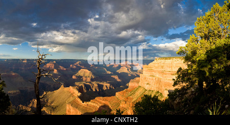 Vista panoramica dal punto di Mohave nel Sud del Grand Canyon, STATI UNITI D'AMERICA, Arizona, il Parco Nazionale del Grand Canyon Foto Stock