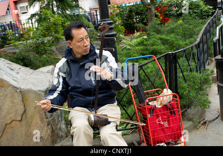 Un uomo cinese busker che gioca l'erhu, un tradizionale Spike fiddle, a Columbus Park a Chinatown, New York City. Foto Stock