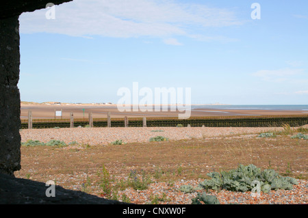 Vista dal tempo di guerra porta pillole Rye Harbour Riserva Naturale East Sussex England Regno Unito Foto Stock