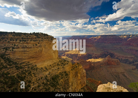 Vista dal punto di Powell al Grand Canyon, STATI UNITI D'AMERICA, Arizona, il Parco Nazionale del Grand Canyon Foto Stock