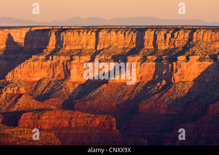 Luce e ombra in corrispondenza di pareti di roccia del Grand Canyon, STATI UNITI D'AMERICA, Arizona, il Parco Nazionale del Grand Canyon Foto Stock