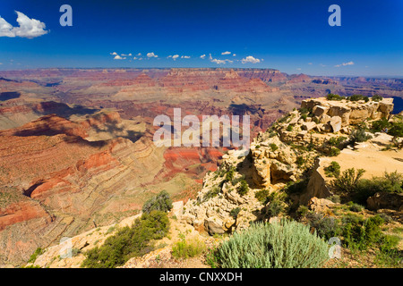 Vista dal punto di Moran del Grand Canyon, STATI UNITI D'AMERICA, Arizona, il Parco Nazionale del Grand Canyon Foto Stock