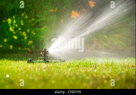 Sprinkler prato la spruzzatura di acqua su erba verde in estate Foto Stock