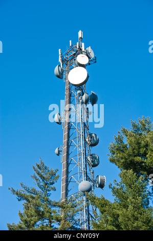 Torre cellulare e antenna radio Foto Stock