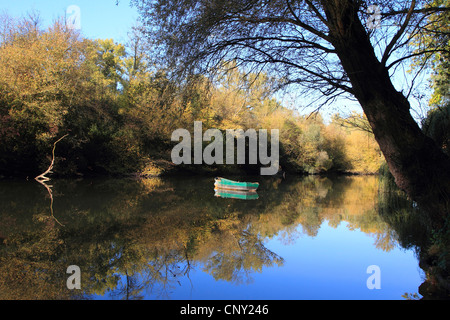 Lanca del vecchio Reno in autunno, Germania Foto Stock