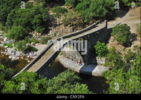 Ponte denominato Ponte Vecchio su Spelunca river, Francia, Corsica Foto Stock