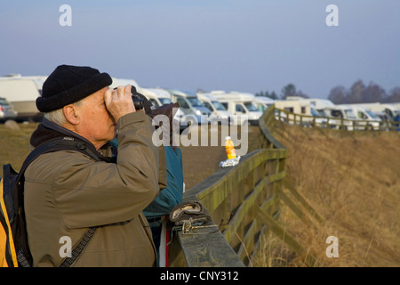 Gru comune (grus grus), l'uomo guarda la gru durante la loro sosta a molla in Hornborga, camper in background, Svezia, Hornborga Foto Stock