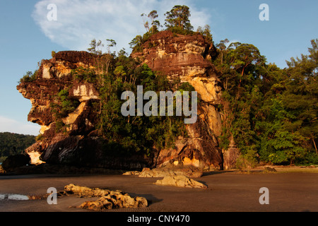 Formazione di roccia in spiaggia, Malesia, Borneo Bako National Park, Sarawak Foto Stock