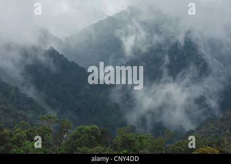 Vista sul Monte Kinabalu ricoperta da foresta pluviale tropicale nella nebbia, Malaysia Sabah, Kinabalu National Park, Borneo Foto Stock